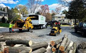 Best Lawn Pest Prevention  in Tri Lakes, IN