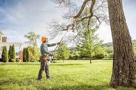 Best Tree Trimming and Pruning  in Tri Lakes, IN