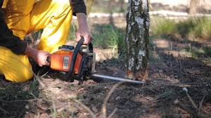 Best Lawn Irrigation Installation and Maintenance  in Tri Lakes, IN